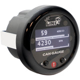link ecu gauge lambda multi can gauge