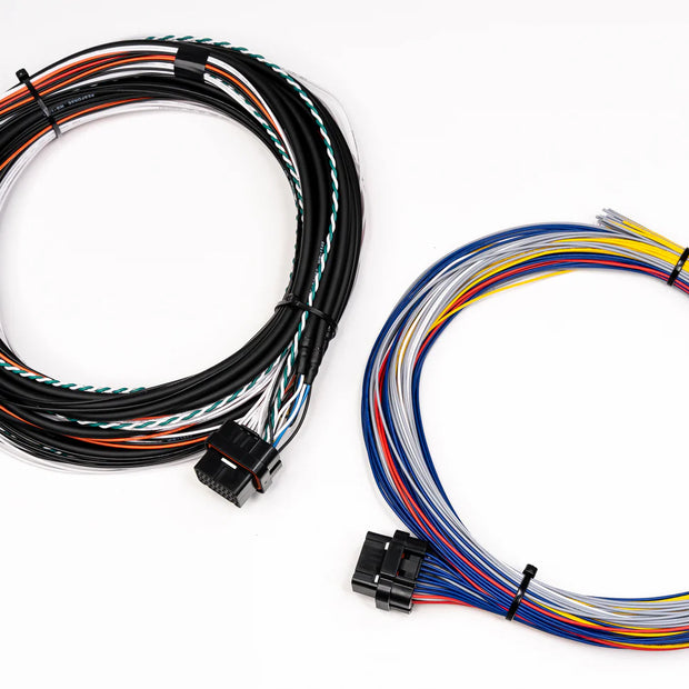 Shadow 8 ECU Wiring Harness