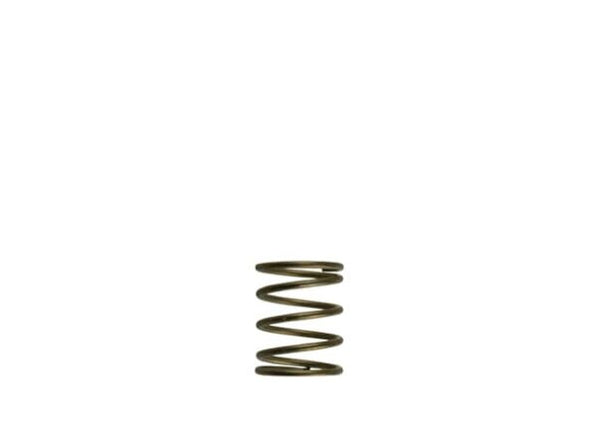 GenV WG45/50 3psi Orange Inner Spring