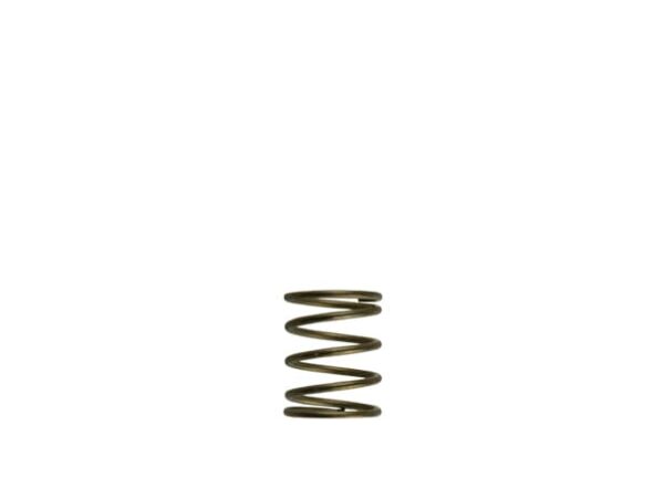 GenV WG45/50 3psi Orange Inner Spring