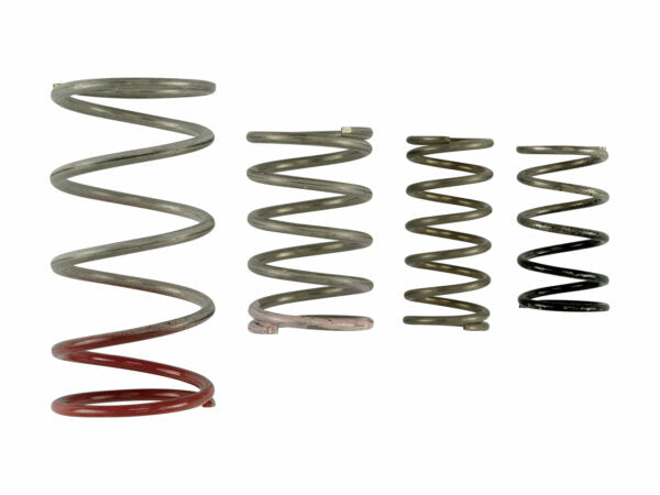GenV IWG Spring Replacement Kit