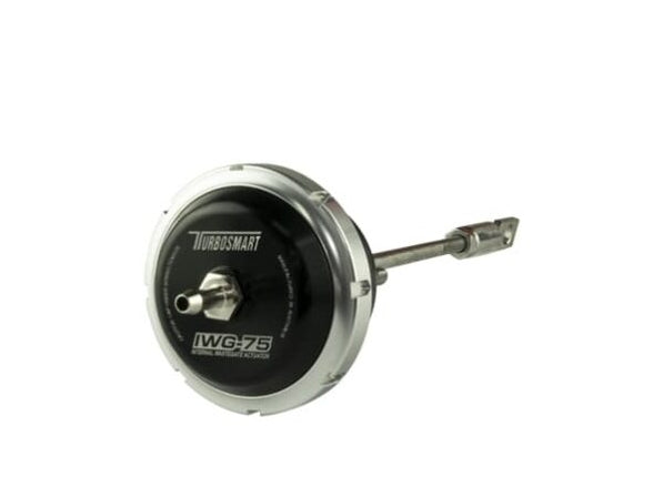 IWG75 Fiat 124 Spider/500T/L/X/Abarth 2012+ 7psi Outer Spring Fitted