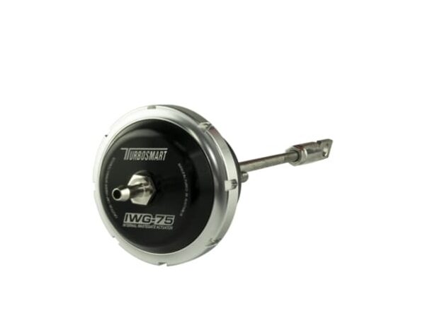 IWG75 Fiat 124 Spider/500T/L/X/Abarth 2012+ 10psi Outer Spring Fitted