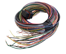 Link ecu wire loom motorsport