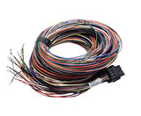 Link ecu wire loom motorsport