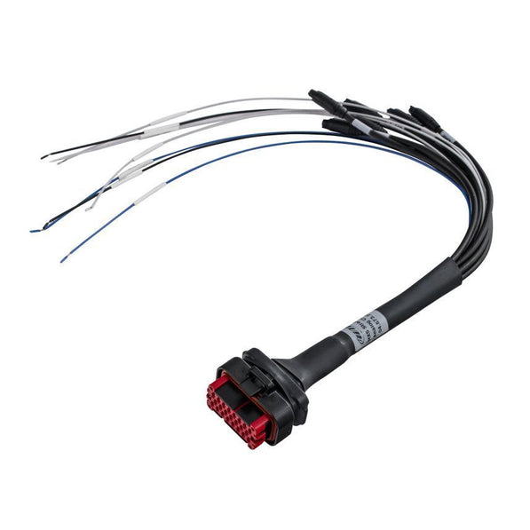 AiM MXS Strada 23 pin harness