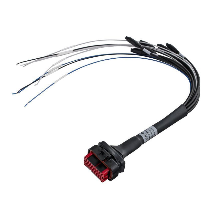 AiM MXS Strada 23 pin harness