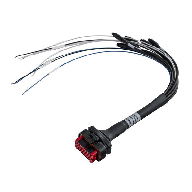 AiM MXS Strada 23 pin harness